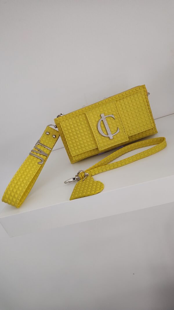 IMG_20250531_145254230 Cartera Charlotte Signature